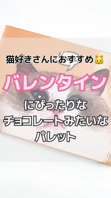 Mary‘s
猫のチョコレートみたいなメイクアップパレットBook
¥2,992（税込）

本物のチョコかと思うぐらいそっくりなパレットで
猫ちゃんが可愛い😍
使いやすいカラーばかりで発色はふんわりだっ