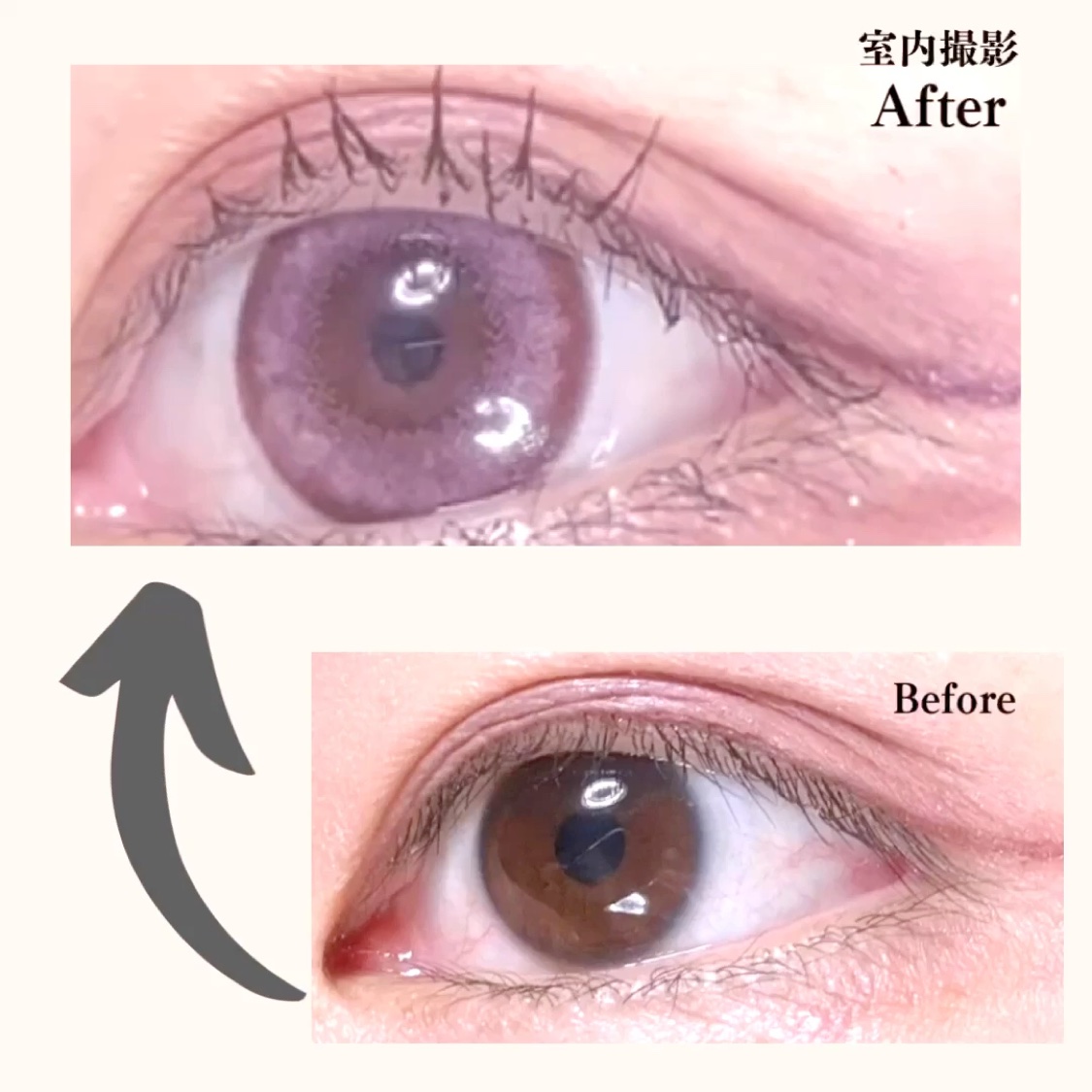 Angelcolor Bambi Series 1day /AngelColor/ワンデー（１DAY）カラコンの動画クチコミ2つ目