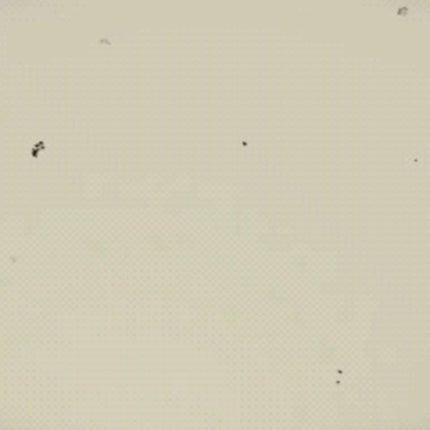 ホワイトニングクリアセラム/エトヴォス/美容液の人気ショート動画