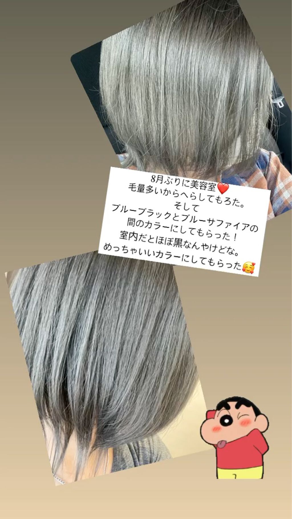 シャンプー／トリートメント ヒートケア　シルバー/CALATAS/市販シャンプーの動画クチコミ2つ目