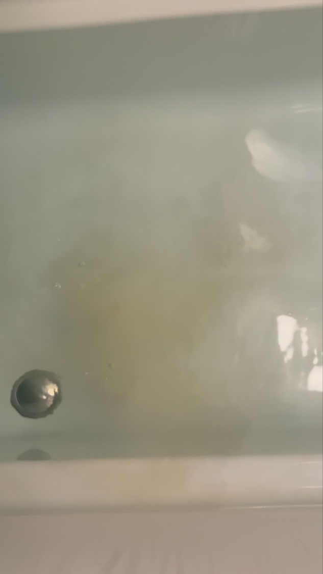 meshimase バスタブレット リフレッシュ＆ジューシーなベルガモットの香り/meshimase/炭酸系入浴剤を使ったクチコミ（2枚目）