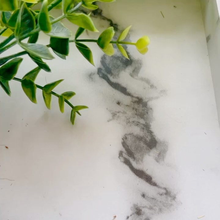 ディープダメージトリートメントEX/UNOVE/洗い流すヘアトリートメントを使ったクチコミ（2枚目）