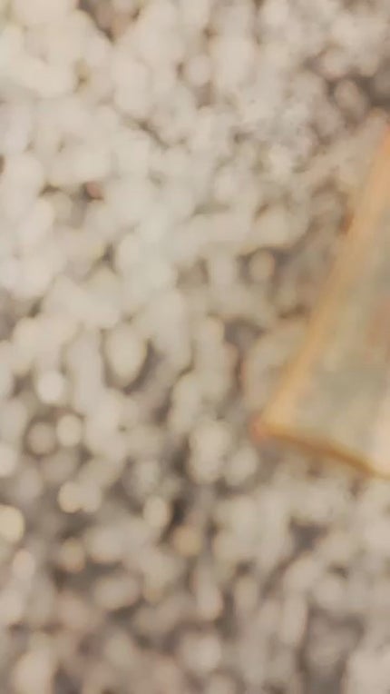 エンリッチプラス 化粧液Ⅱ しっとり <医薬部外品>/ファンケル/化粧水を使ったクチコミ(1枚目)