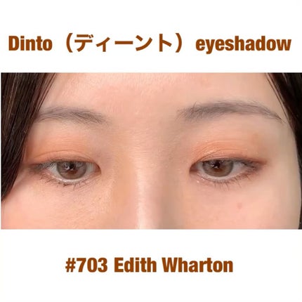 ブラーフィニシュシャドウパレット/Dinto/アイシャドウパレットの人気ショート動画