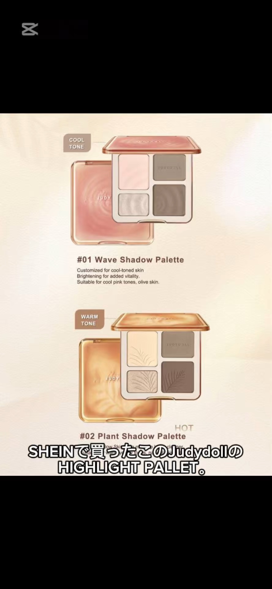色:#01 クールトーン JUDYDOLL / メリハリマスターパレット ＃01クールトーンの商品