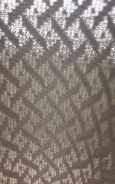 皮脂テカリ防止下地/CEZANNE/化粧下地を使ったクチコミ（1枚目）