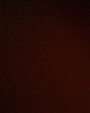 フルーティーピュアオイルリップ/キャンメイク/リップグロスを使ったクチコミ（2枚目）