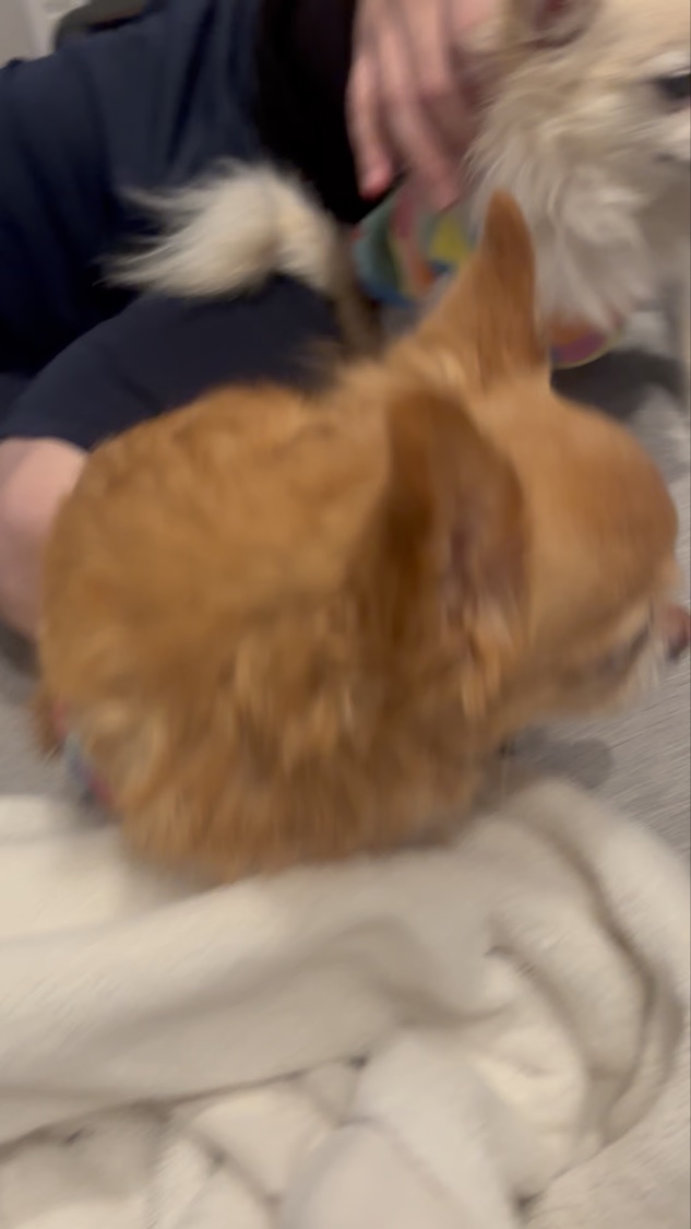 めがね/JINS/その他の動画クチコミ2つ目