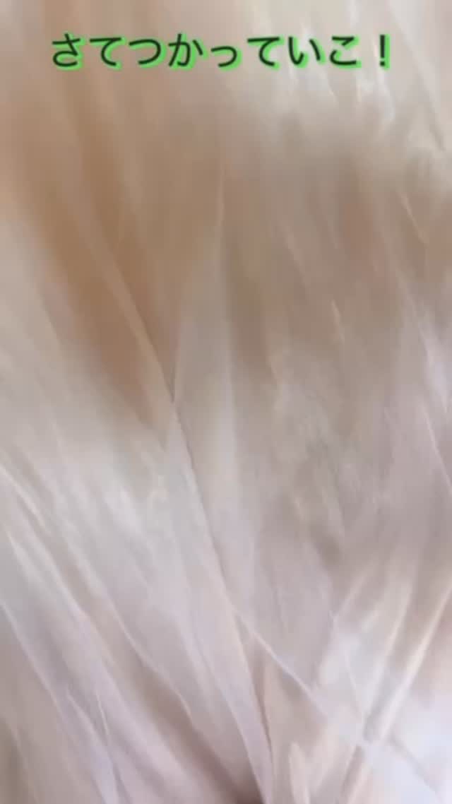 グリーントマトクリーム/FULLY/フェイスクリームの人気ショート動画