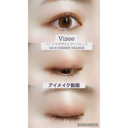 パノラマデザイン アイパレット/Visée/アイシャドウパレットの人気ショート動画