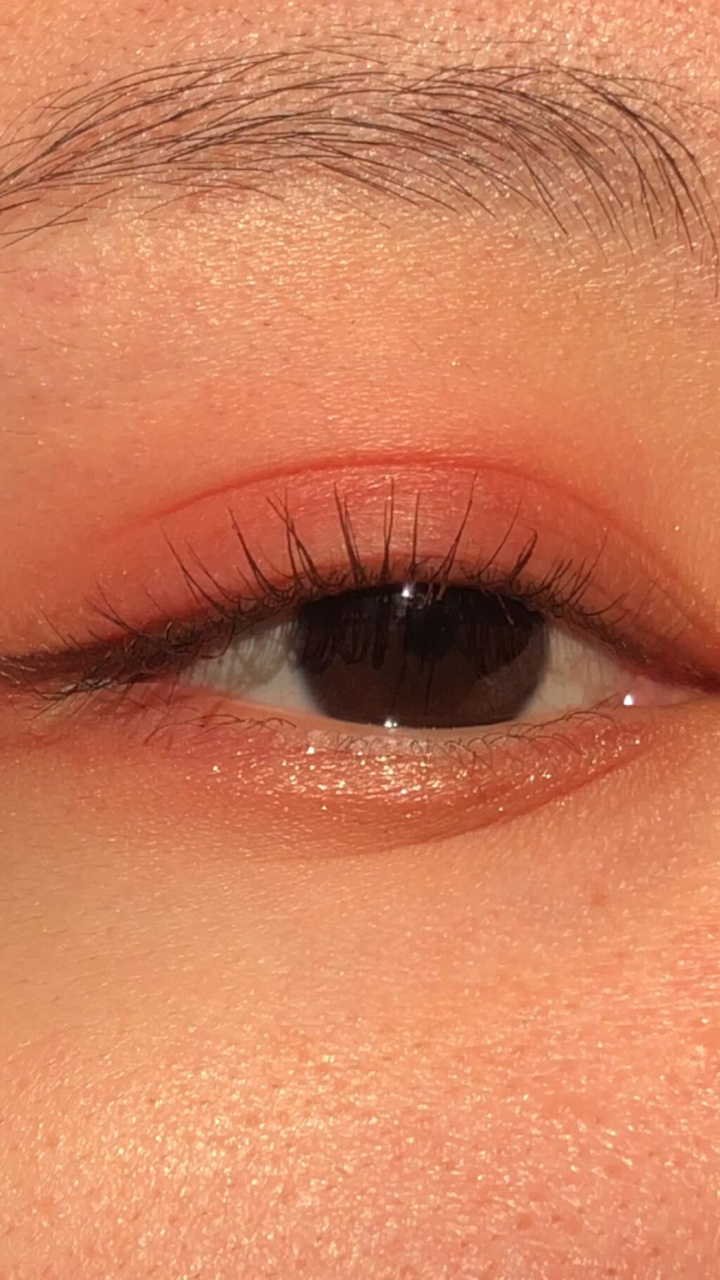 ピンクメイクってこんな可愛かったっけ!?!?🤦🏻‍♀️💗💗💗#ピンクメイク#アイメイク#アイメイク_初心者 #3ce#ルミアグラス