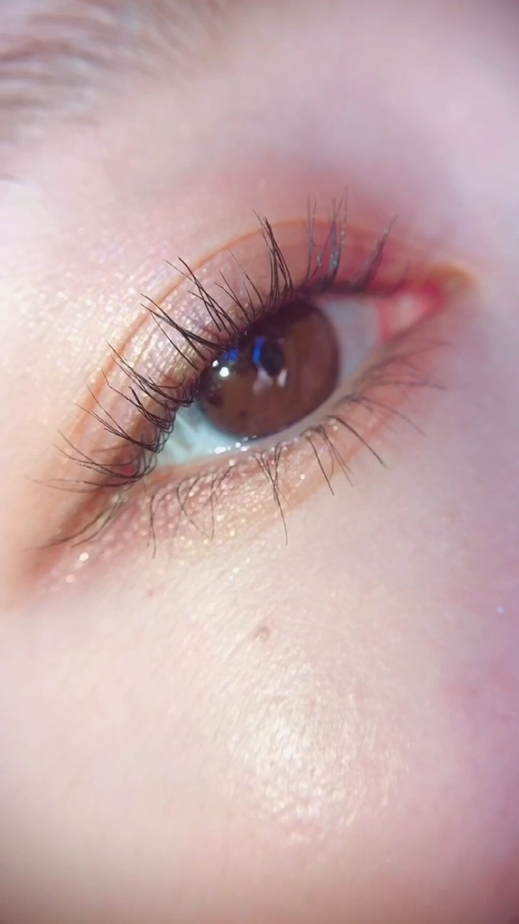 ニュアンスオンアイシャドウ/CEZANNE/アイシャドウパレットの人気ショート動画