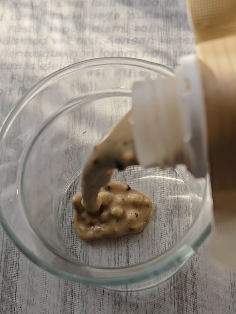 ヨンラニュープロテインフィットシェイク/ESTHER FORMULA/その他食品の人気ショート動画