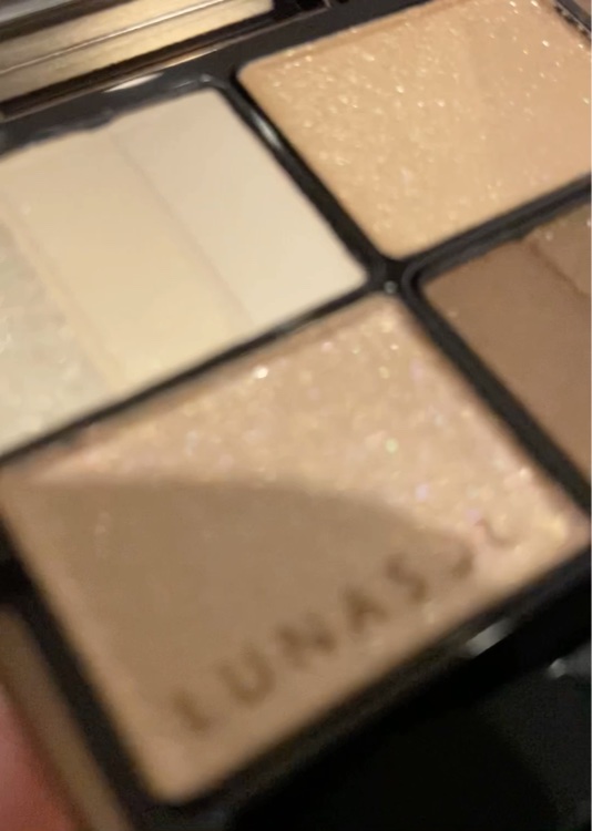 スキンモデリングアイズ/LUNASOL/アイシャドウパレットを使ったクチコミ（2枚目）
