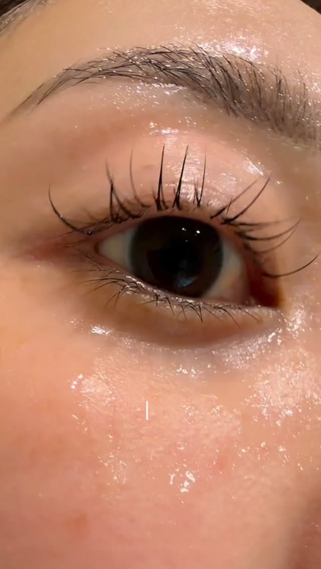 湘南美容まつ毛美容液PREMIUM/湘南美容/まつげ美容液を使ったクチコミ（1枚目）