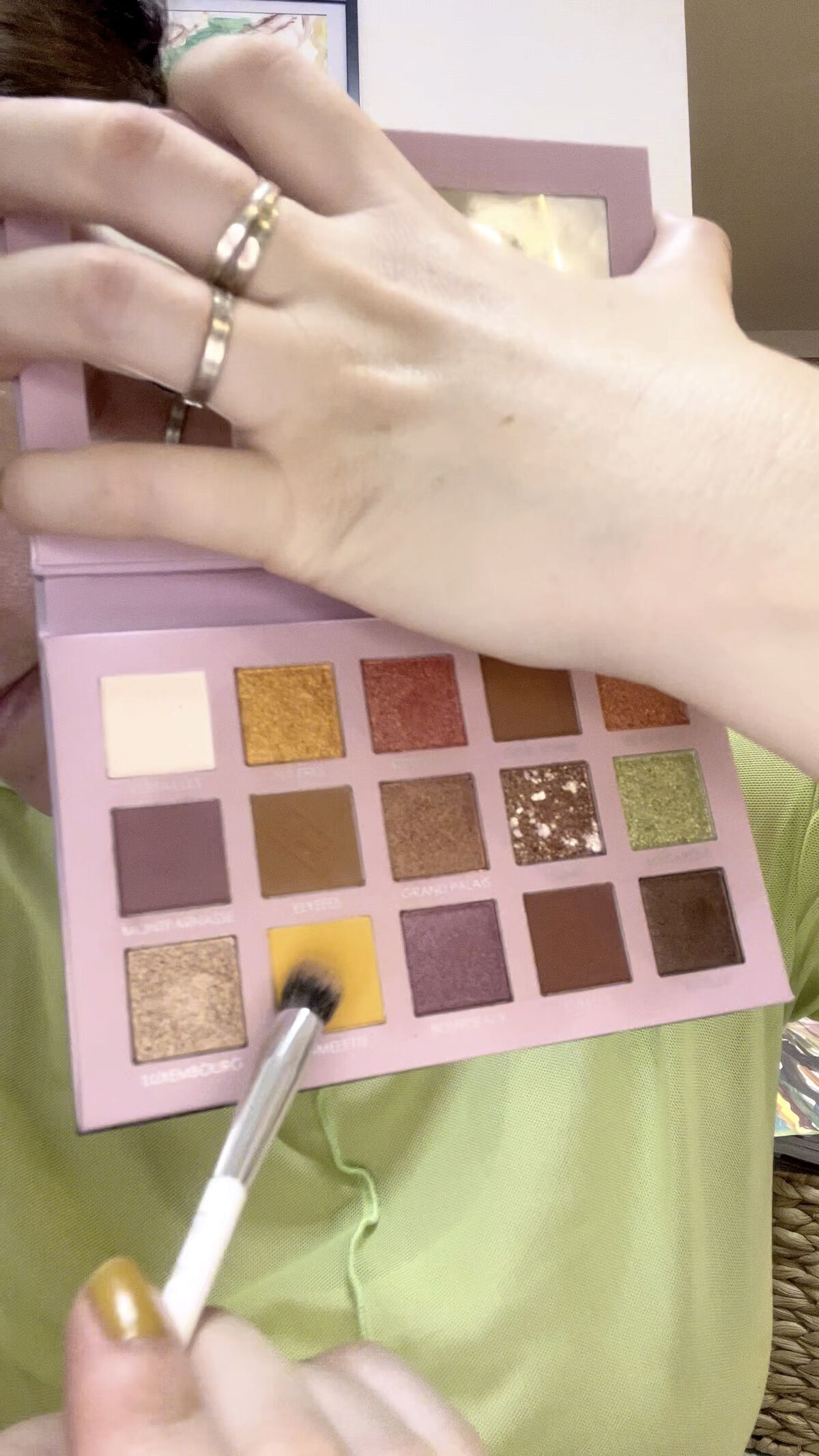 GO TRAVEL 15色アイシャドウパレット/FOCALLURE/アイシャドウパレットの動画クチコミ5つ目