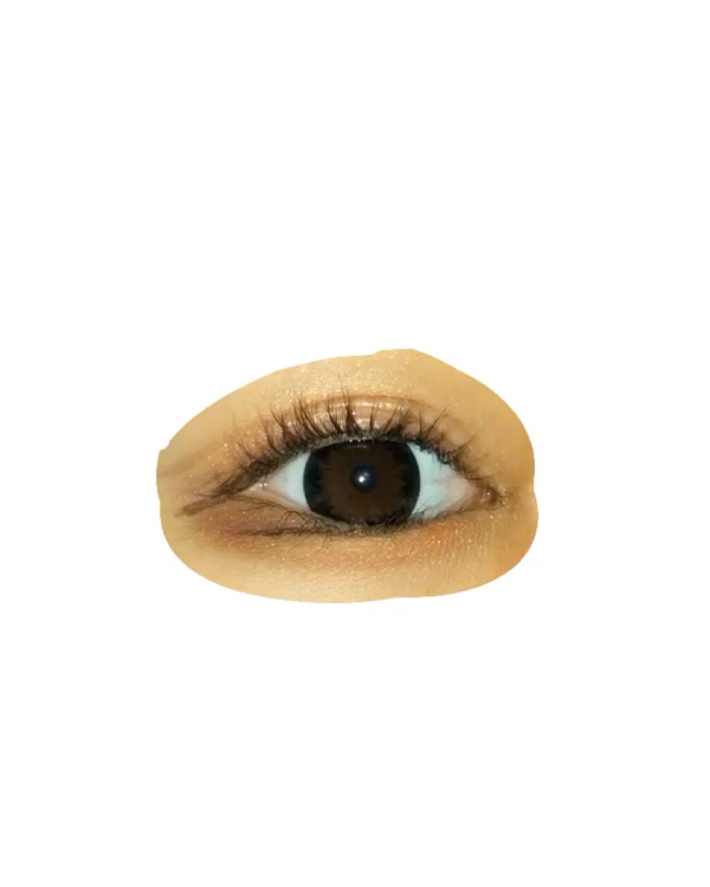 グリッタープリズム シャドウ BR01/MISSHA/グリッターを使ったクチコミ（2枚目）