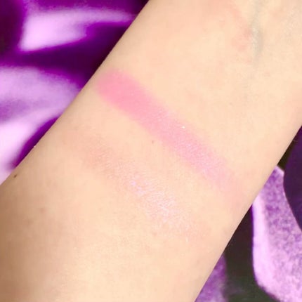 スイ ブラック アイカラー/ANNA SUI/アイシャドウパレットを使ったクチコミ(3枚目)