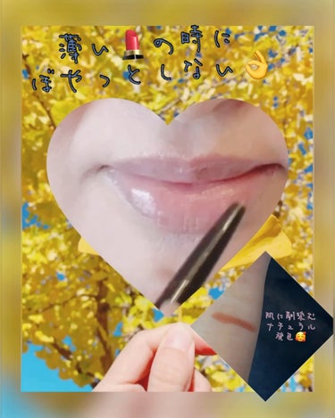 マキアージュ リップライナー用ホルダーNのクチコミ「美形フォルムリップライナー💄

マキアージュ スムース&ステイリップライナー N（カートリッジ.....」（2枚目）