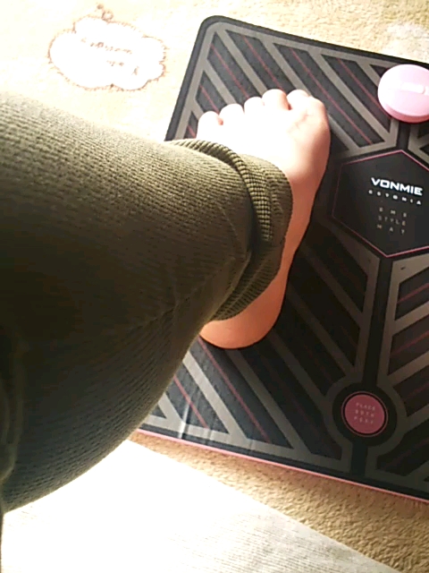 EMS STYLE MAT(イーエムエススタイルマット)/VONMIE/ボディケア美容家電を使ったクチコミ（2枚目）
