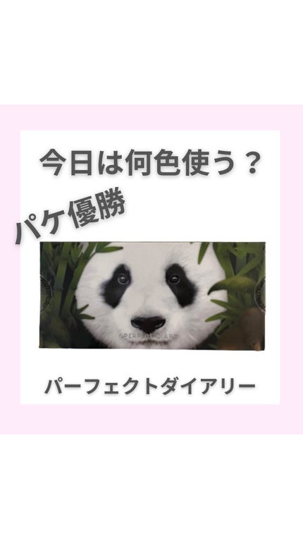 エクスプローラ12色 動物アイシャドウパレット/PERFECT DIARY/アイシャドウパレットの人気ショート動画