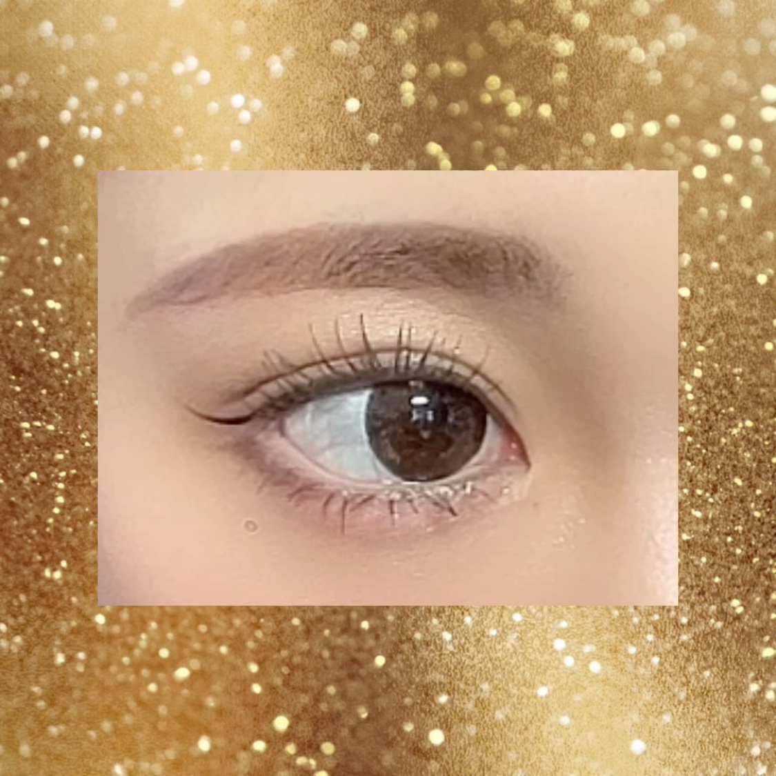 シャドウパレット/dasique/アイシャドウパレットを使ったクチコミ（2枚目）