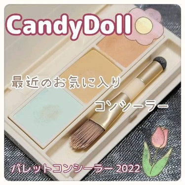 パレットコンシーラー【2022】/CandyDoll/パレットコンシーラーを使ったクチコミ（1枚目）