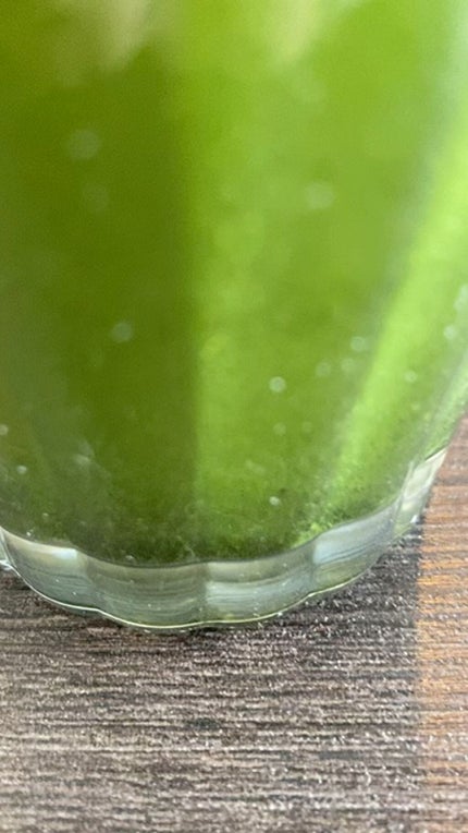 ベジパワープラス/ダイエットドリンク/ドリンクの人気ショート動画