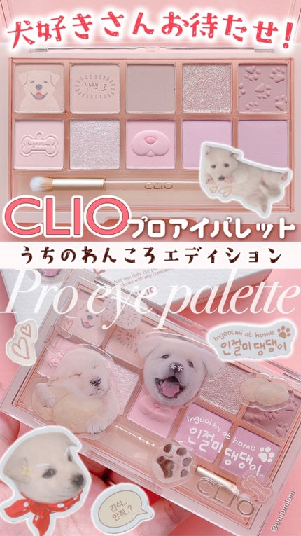 プロ アイ パレット/CLIO/アイシャドウパレットの人気ショート動画