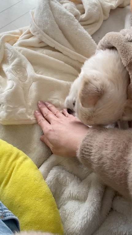 スーパー アクア セロム N/GUERLAIN/美容液を使ったクチコミ(5枚目)