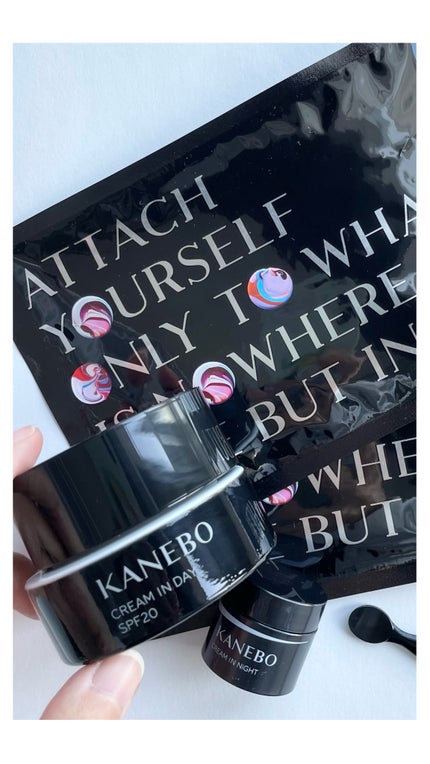 クリーム イン デイ/KANEBO/フェイスクリームの人気ショート動画