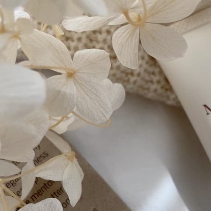 モイストラボ 薬用美白BBクリーム/Moist Labo/BBクリームを使ったクチコミ(2枚目)