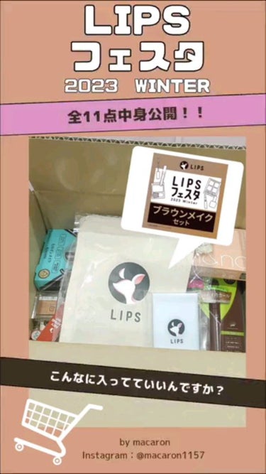 ブラウンメイクセット  LIPSフェスタ Winter 2023/LIPS/メイクアップキットを使ったクチコミ（1枚目）