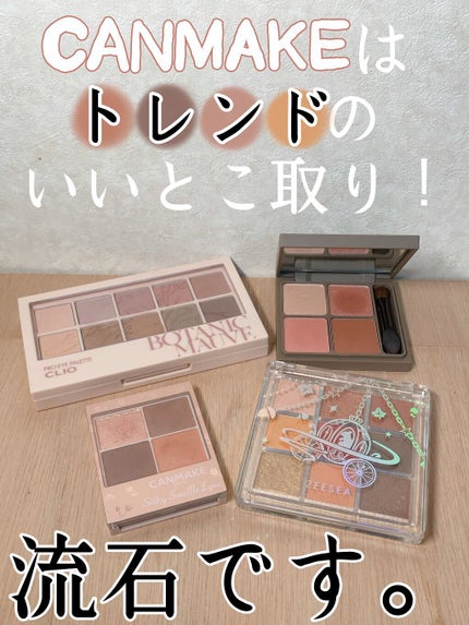 シルキースフレアイズ(マットタイプ)/キャンメイク/アイシャドウパレットの人気ショート動画