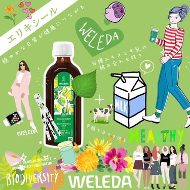 白樺 エリキシール プレーン/WELEDA/ドリンクを使ったクチコミ（1枚目）