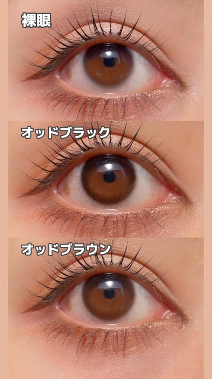 キッチュリング ワンデー(Kitsch Ring 1day)/OLOLA/ワンデー(1DAY)カラコンの人気ショート動画