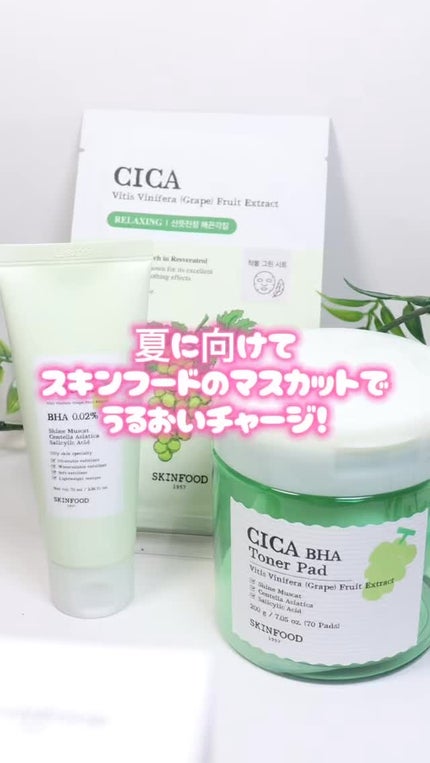 シャインマスカットシカBHAトナーパッド/SKINFOOD/トナーパッドの人気ショート動画