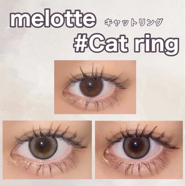 melotte 1day キャットリング/melotte/カラーコンタクトレンズを使ったクチコミ（2枚目）