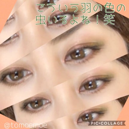 クロム リキッド アイシャドウ/Natasha Denona/リキッドアイシャドウを使ったクチコミ(4枚目)