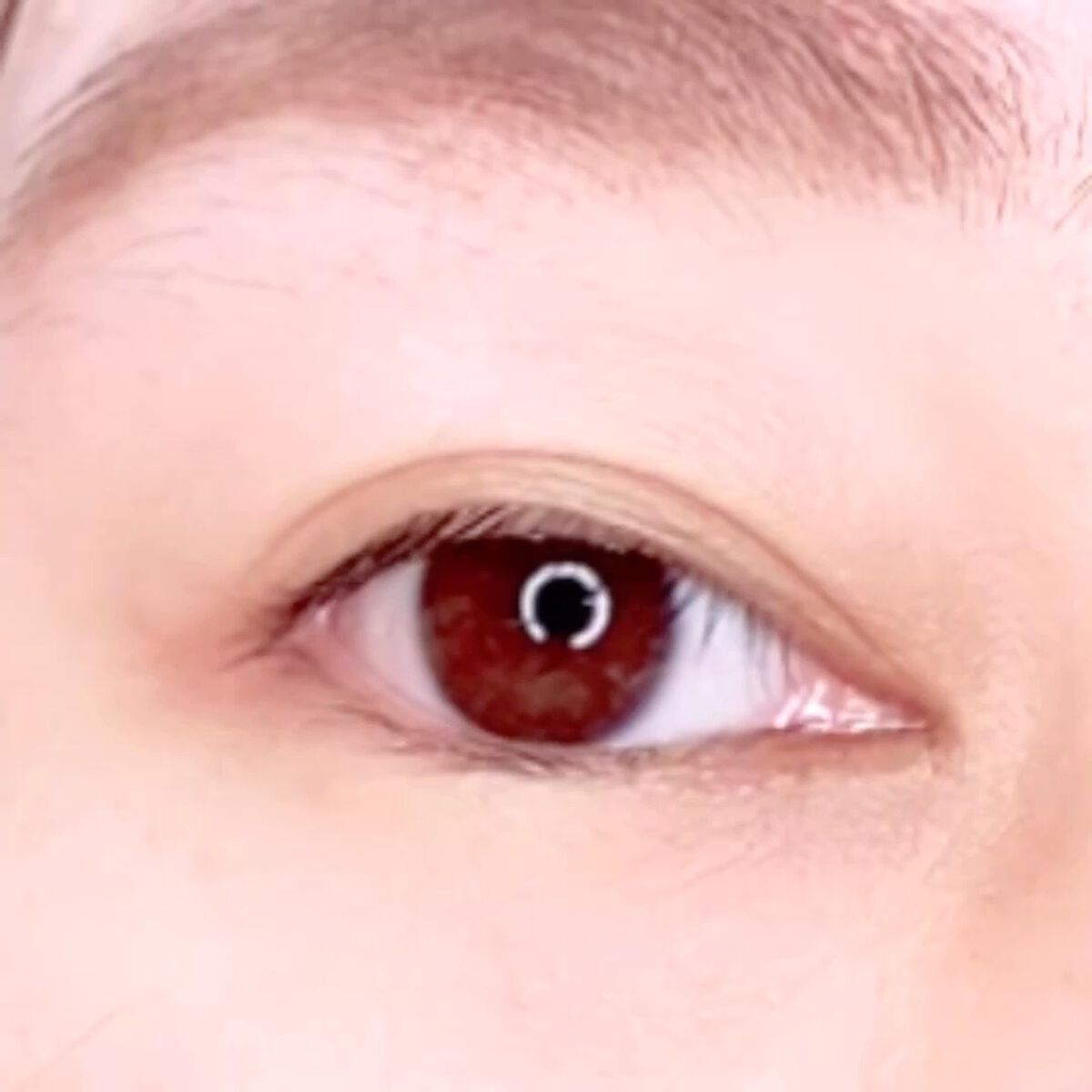 ラッシュジェリードロップ EX プレミアム/MAJOLICA MAJORCA/まつげ美容液を使ったクチコミ（3枚目）