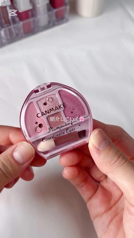 プランぷくコーデアイズ/キャンメイク/パウダーアイシャドウの人気ショート動画