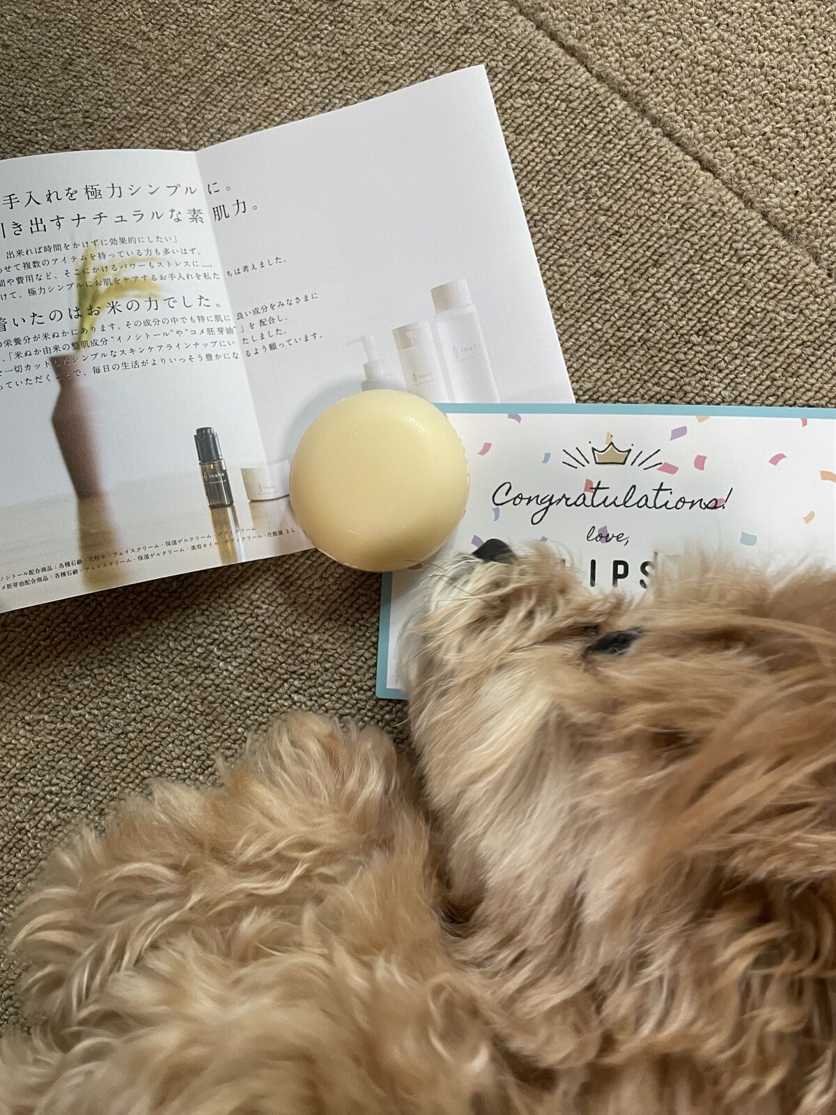 を使ったクチコミ（1枚目）