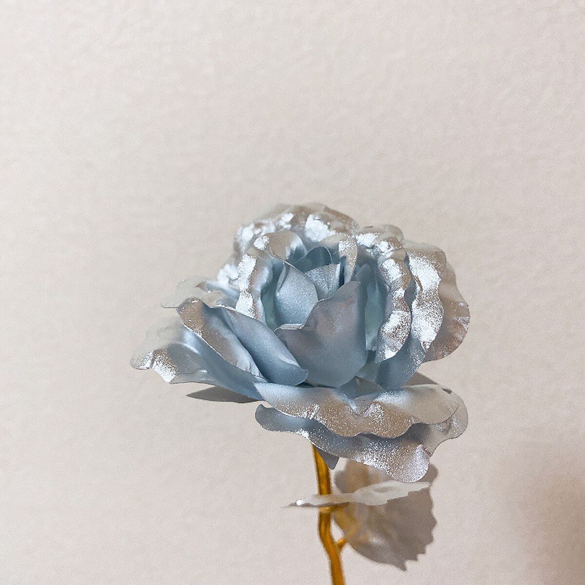 シックローズ/キャンドゥ/その他の動画クチコミ1つ目