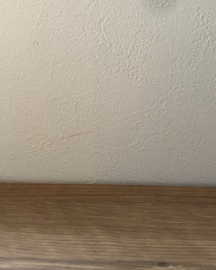 ピールケアセラム/My AMULET/美容液を使ったクチコミ（3枚目）