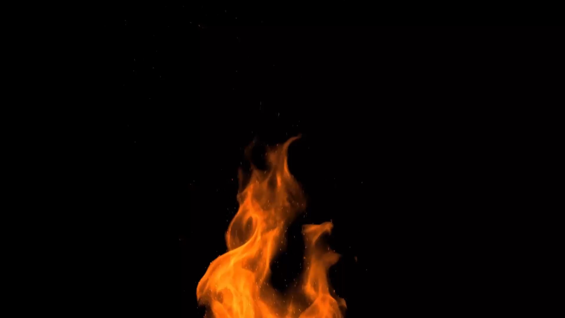 プロ アイ パレット/CLIO/アイシャドウパレットを使ったクチコミ（1枚目）