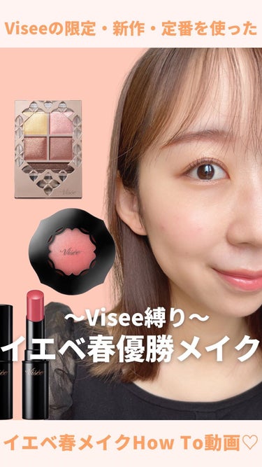 パノラマデザイン アイパレット/Visée/アイシャドウパレットを使ったクチコミ（1枚目）