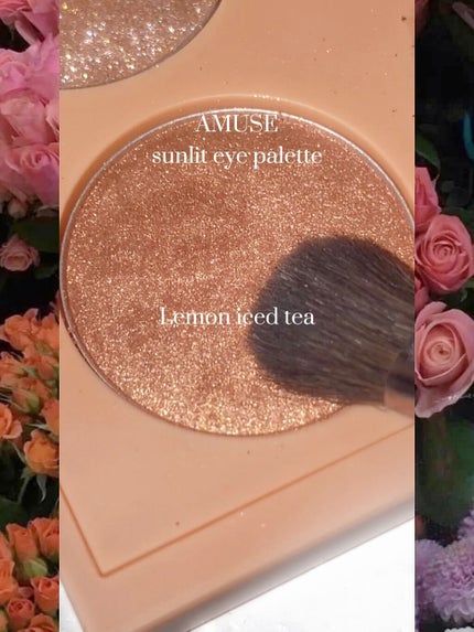 サンリットアイパレット/AMUSE/アイシャドウパレットを使ったクチコミ(1枚目)