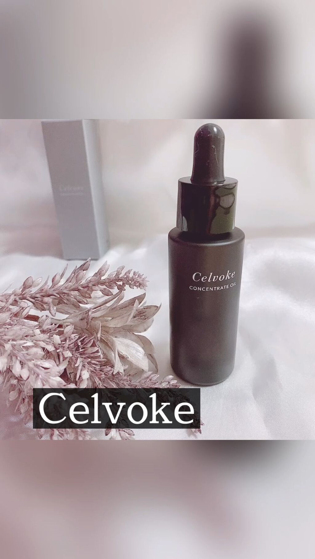 定番の人気シリーズPOINT(ポイント)入荷 Celvoke セルヴォーク