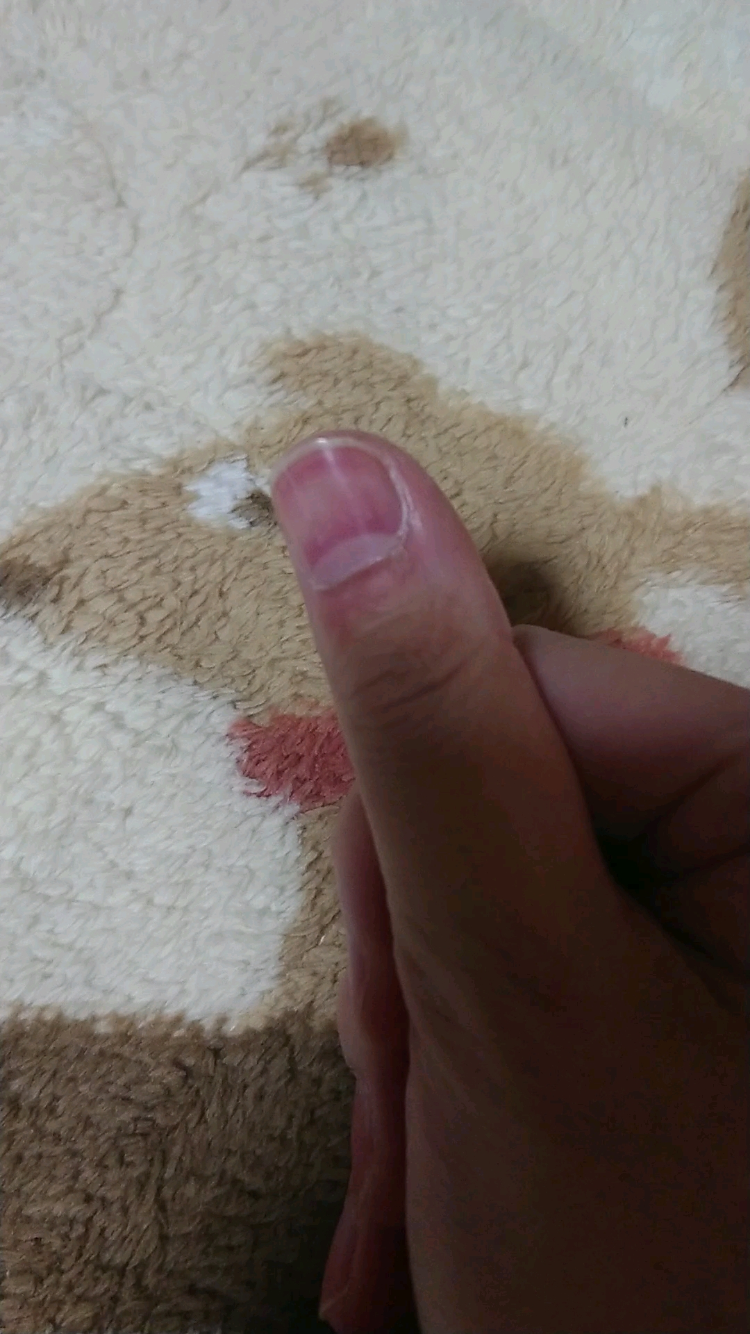 エテュセ クイックケアコート/ettusais/ネイルオイル・トリートメントを使ったクチコミ（3枚目）