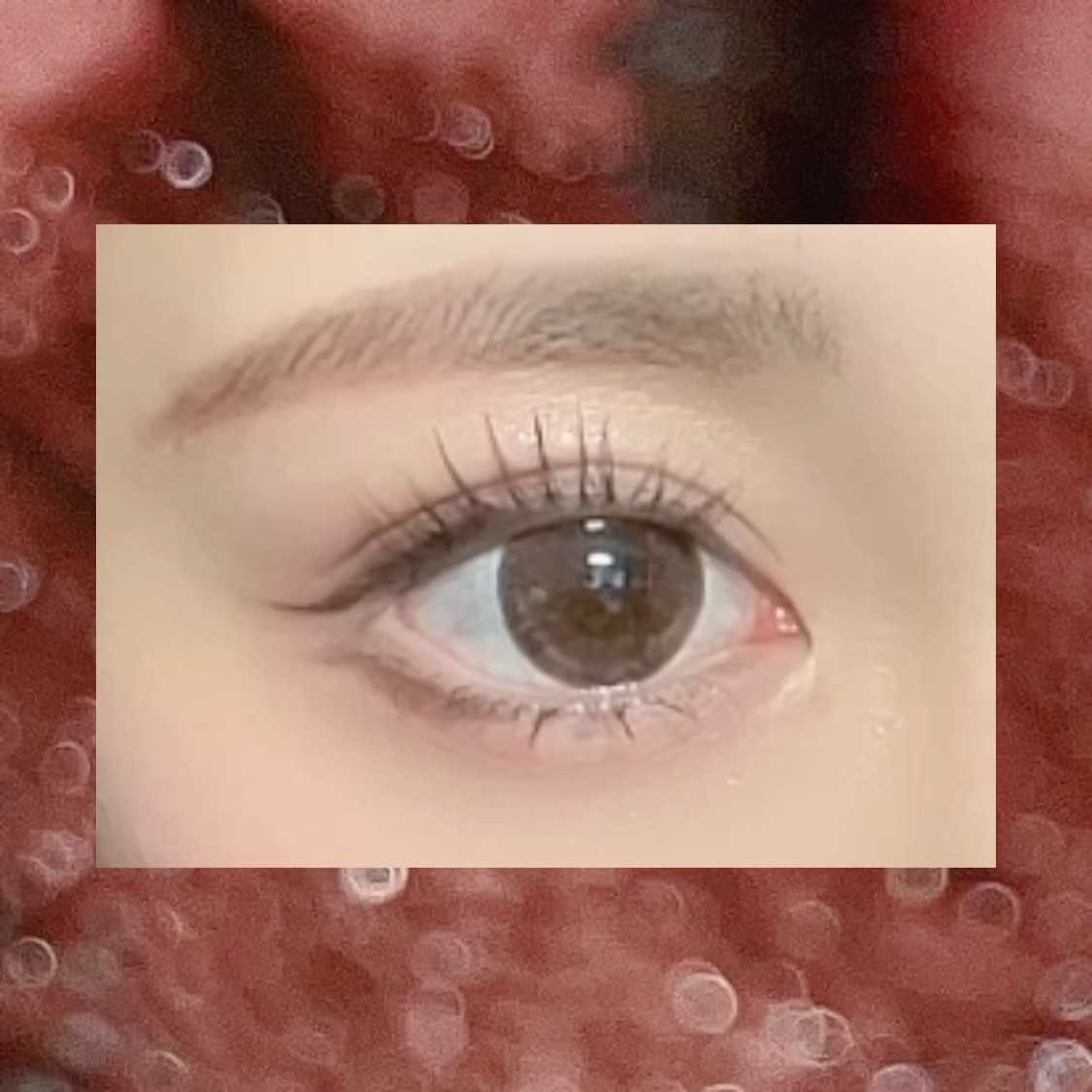 パーフェクトエクステンション マスカラ/D-UP/マスカラを使ったクチコミ（3枚目）